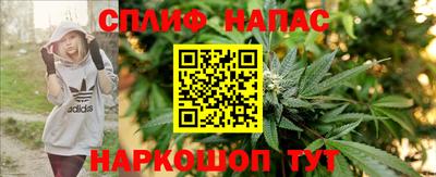 гашик Брянск
